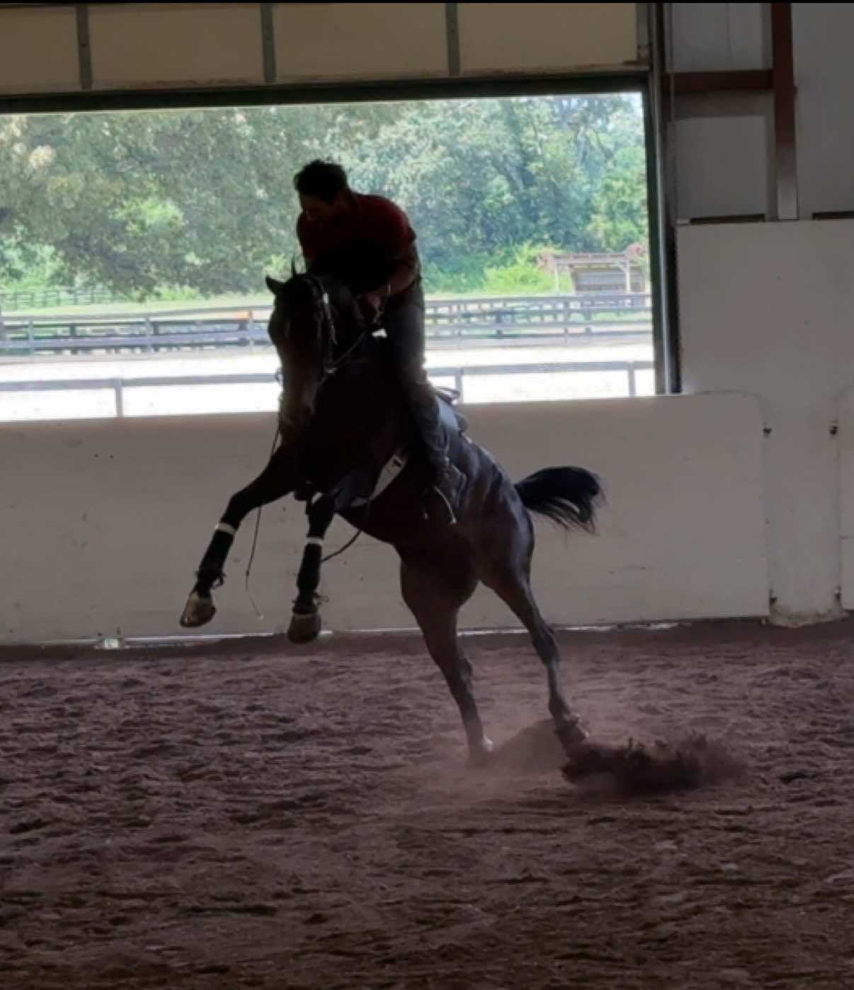 Nothing beats a jet 2 holiday 🥲 #jet2holidays #horses #babies #horsetraining 