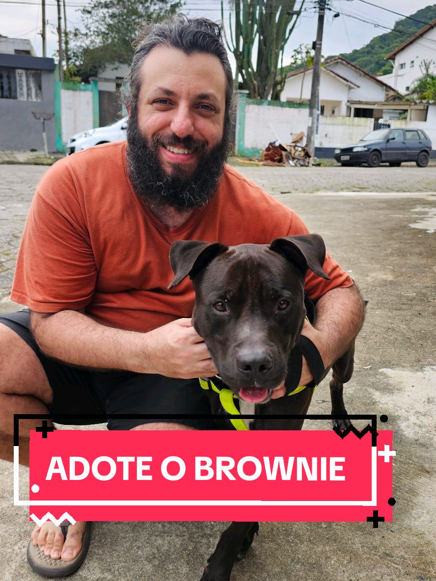 amarraram esse cachorro no poste e agora estamos procurando um lar cheio de amor e carinho,  eu coloquei o nome dele de BROWNIE, ele é super dócil e carinhoso. Esta com 25kg e esta abaixo do peso e magro. #CapCut #fyp #paravoce #cachorro  #dog #adote