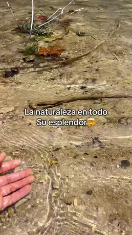 El creador se lució con estos lugares#viajes#turismo #naturaleza#flyppppppppppppppppppppppppppppppp 