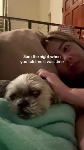 saddest day of my life. it’s been 3 weeks and I miss you everyday Oreo 💔🐶 #petloss #petgrief #petlosshurts #souldog 