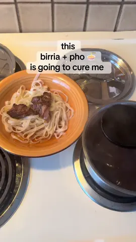Soup in the summer? I’m Mexican, so… yes soup in the summer always 🥵 #pho #birria #Summer #soup #homemadefood #slowcooker #coldandfluseason #fyp #fypシ 