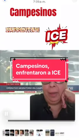 Campesinos, se enfrentaron a ICE en California#california #ice #campesinos #emigrantes #redadas #usa🇺🇸 #noticias 