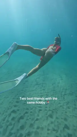My diving buddy forever 🧜🏼‍♀️♥️ #freedive #ocean #bestfriend #magic #mermaid #fyp #foryou #girls #freediving 