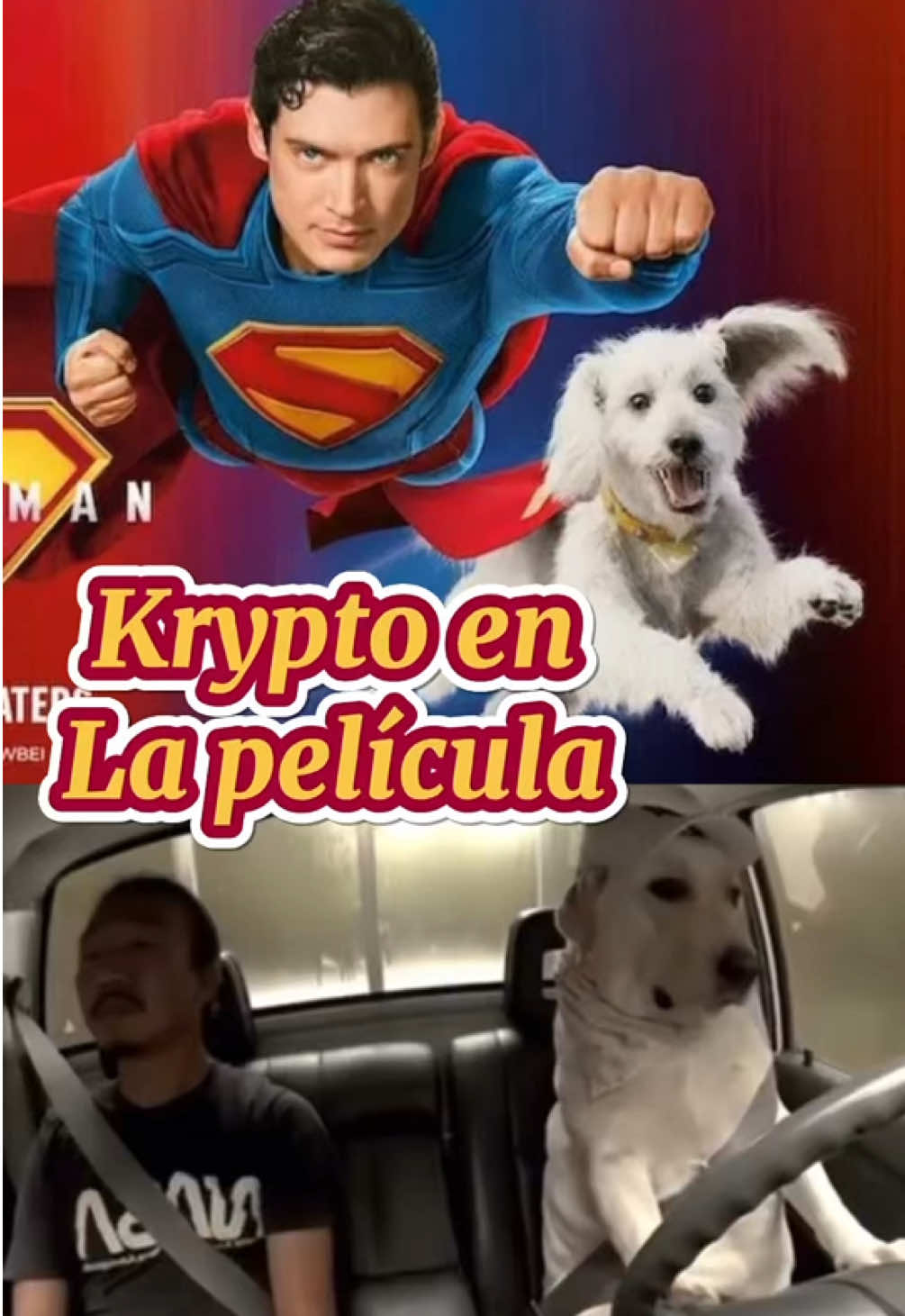 Ese Krypto es tremendo 🤪 #superman #superman2025 #supermanmovie #krypto #dccomics #dceu #dcuniverse 