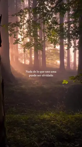 #viral #motivacion #consejos #loveyou #frases #crecimientopersonal #amorpropio #conciencia #flujodivino #exitopersonal #filosofia #saludmental #autocuidado #inspiration #espiritualidad #buenavibra #energias 