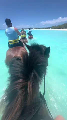 10/10 experience #halfmooncay #bahamas #cruise #horsebackriding #beachvibes #shittok 