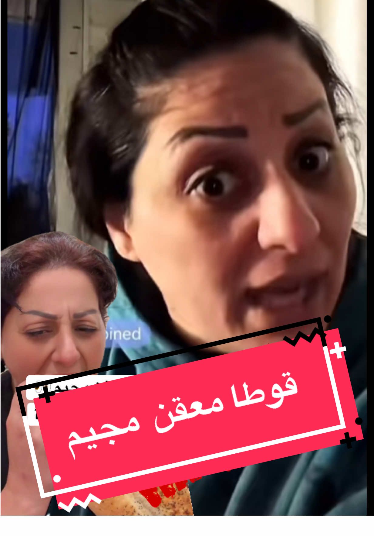#مشاهير #ترند #محتوى_هابط #مشاهير_تيك #عراق #بغداد #العرب #بصرة #نجف #امريكا #كندا #استرالیا #تعليم #مشكن  #حسحس #بلانه #مها  #تكساس #ارزونا #كالفورنيا #موصل #تورنتو #مسي #رونالدينيو #إكسبلور  #احمد #محمد #كاظم #وضاح #زوزو #فادية #شذى #امير #وضاح_الغريب  #امير_الحب  #صفاء_كرادة  #غناء  #شلاتي  #علاء #ميخائيل #اخبار #بنات #زينب   #فادية  #رحال #تصميمي #تيك #توك #مها  #مها_الخميسيه  #رفل  #ترامب  #الشعب_الصيني_ماله_حل😂😂 #طرب #usa #live #years #happy #funny #top #1 #2 #ArabTikTok #arab #musician #go #iraq #fyp #fy #fypシ #fypage #fypシ゚viral  #viral #fyppppppppppppppppppppppp