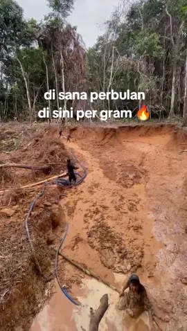 harga emas tempat kalian berapa#katakata #fyp #batulicin_kalimantan_selatan #kepayang #masukberandafyp #tambangemas #penyedotan #emas