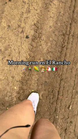 Your sign to go running en el Rancho🤪 #nayarit #Running #rancholife #mexico 