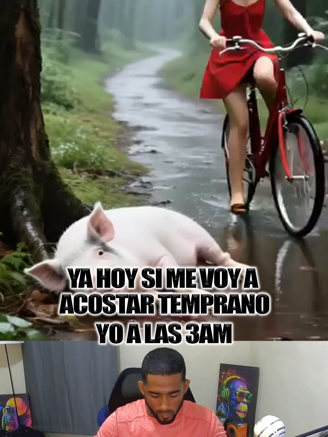la maco ei puico
