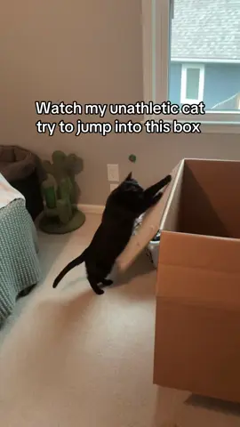 Spooky is an athlete #catsoftiktok #cattok #blackcat #funnycat 