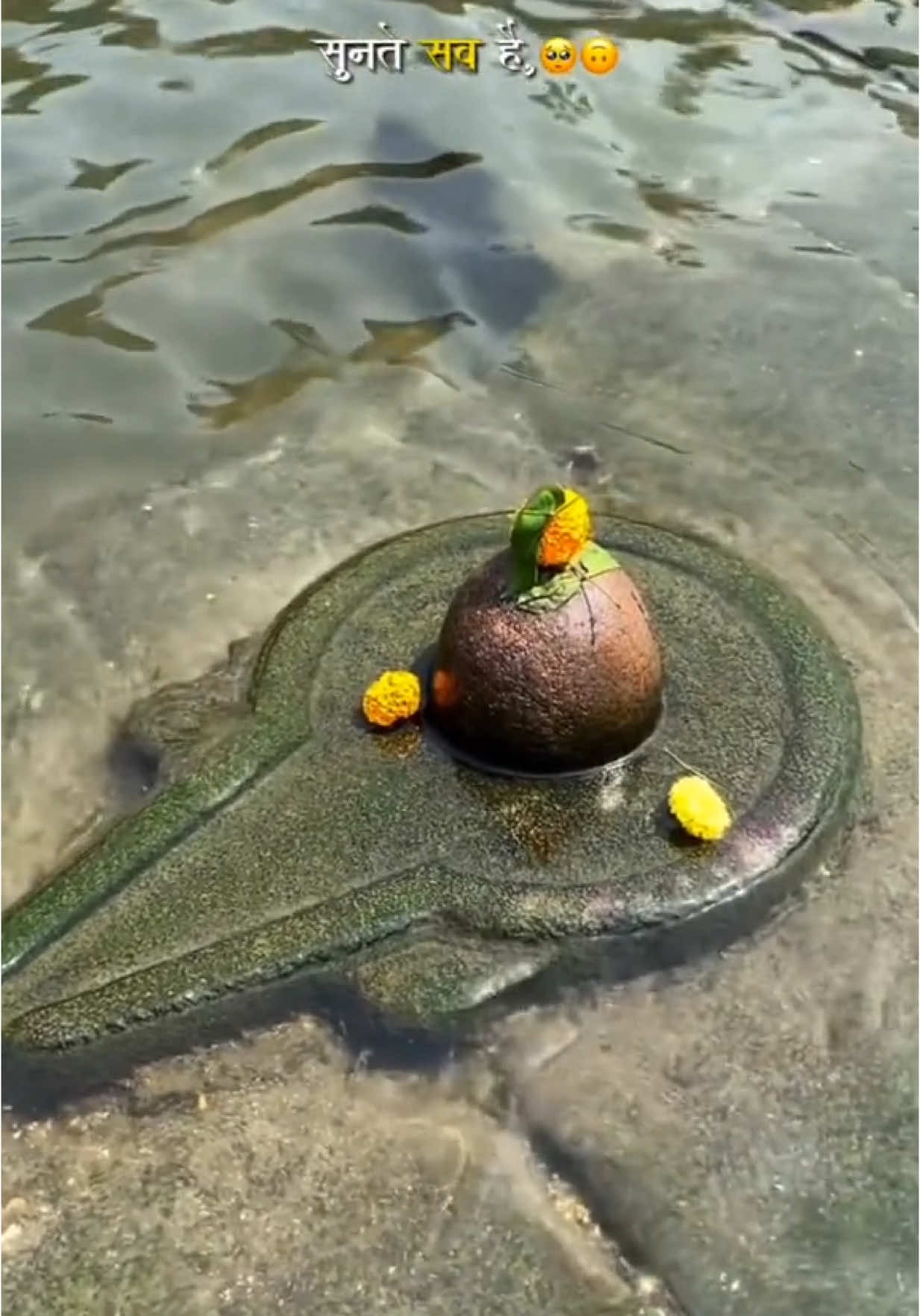 BaBa🕉️🥺 #mahadev #bholenath #shiva #meme #hanuman 