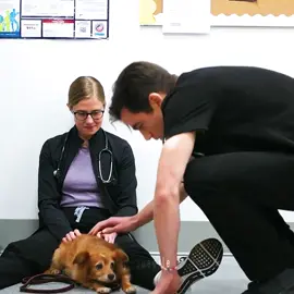 do you wanna try? i can’t waste another year | #langdonmel #kingdon #thepitt #franklangdon #melissaking #thepittedit