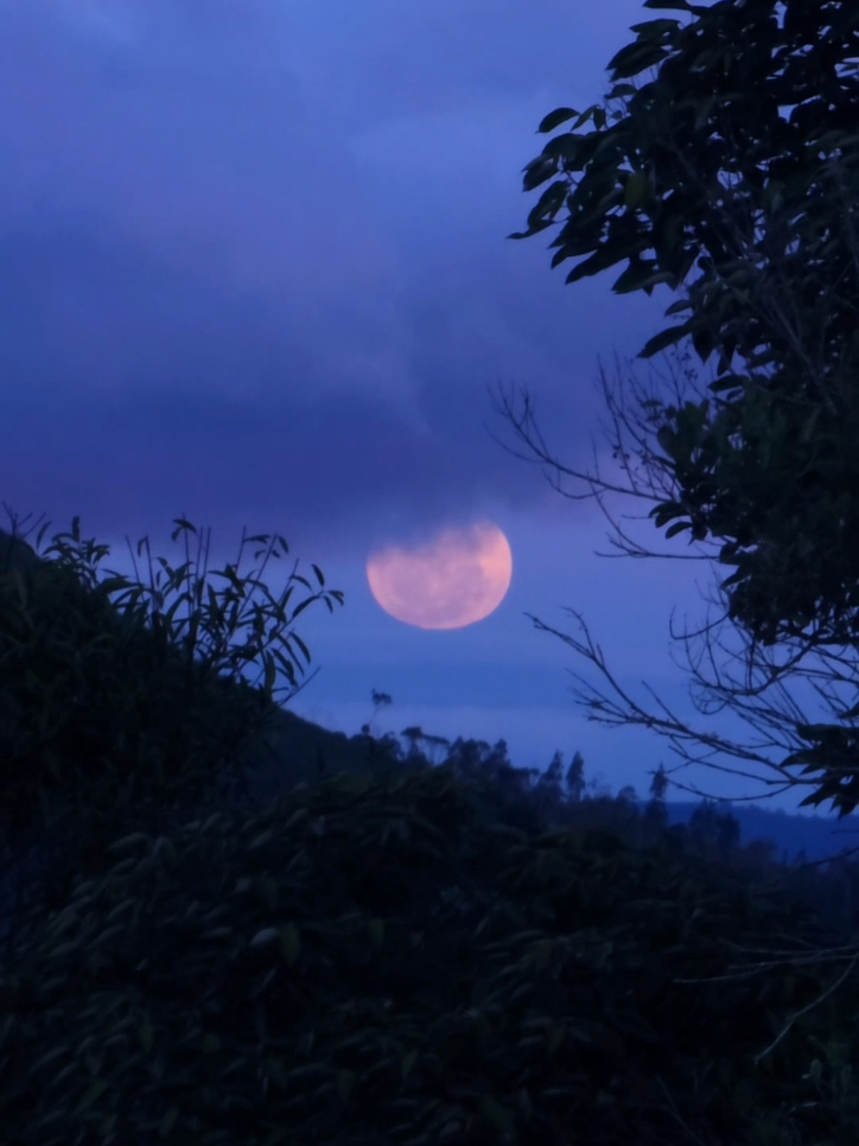 🖤🌕✨#moon #moonlovers 