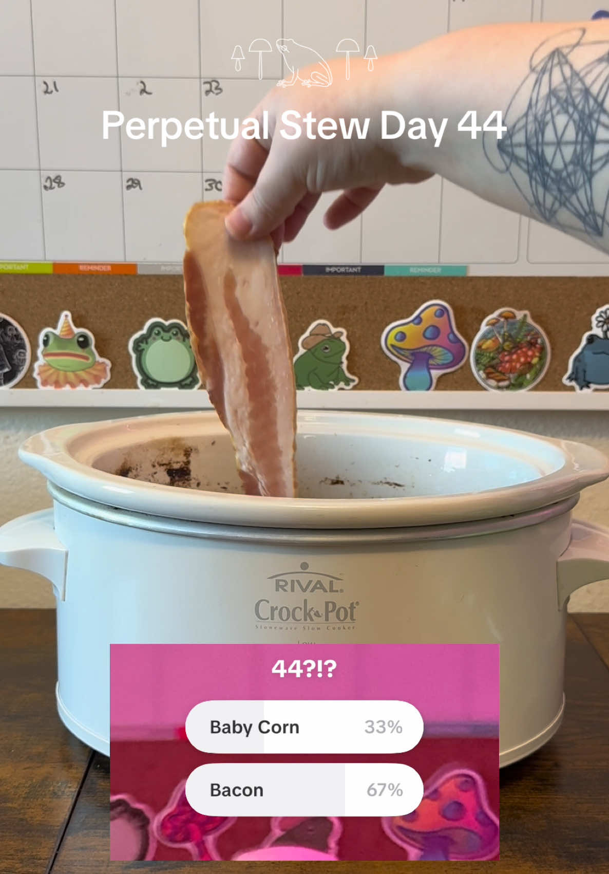 Day 44 𓍊𓋼  #perpetualstew #stew #stewtok #perpetualsoup #soup #foodietok #cookin 