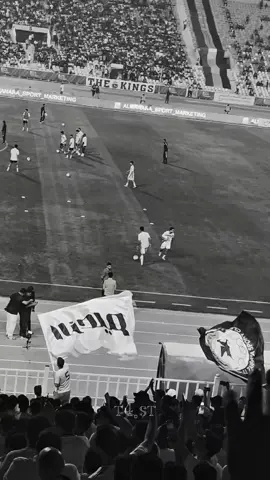 الروح♥️🕊️! #النوارس🕊 #الزوراء 