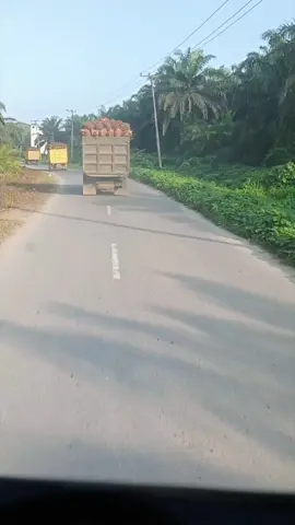 #pesonasupirtruk #fypage #lewatberandafyp #driversawitkalimantan #fyppppppppppppppppppppppp 