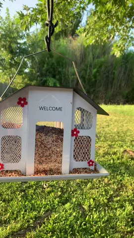 $30.99 Kingsyard metal mesh bird feeder. Holds 4 pound of seed fills easily. ##Metal##EasyFill@@KINGSYARD.global