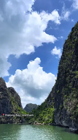 A Halong Bay cruise offers breathtaking views, luxury onboard experiences, kayaking, cave exploring, and traditional Vietnamese cuisine surrounded by stunning limestone islands. #HalongBay #HalongBayCruise #VietnamTravel #BucketListTrip #LuxuryCruise #NatureLovers #IslandHopping #KayakingAdventure #CaveExploration #UNESCOWorldHeritage #TravelAsia #CruiseLife #Wanderlust #ScenicViews #OceanEscape #TravelGoals #HiddenParadise #AsiaCruise #ExploreVietnam #DreamTrip 