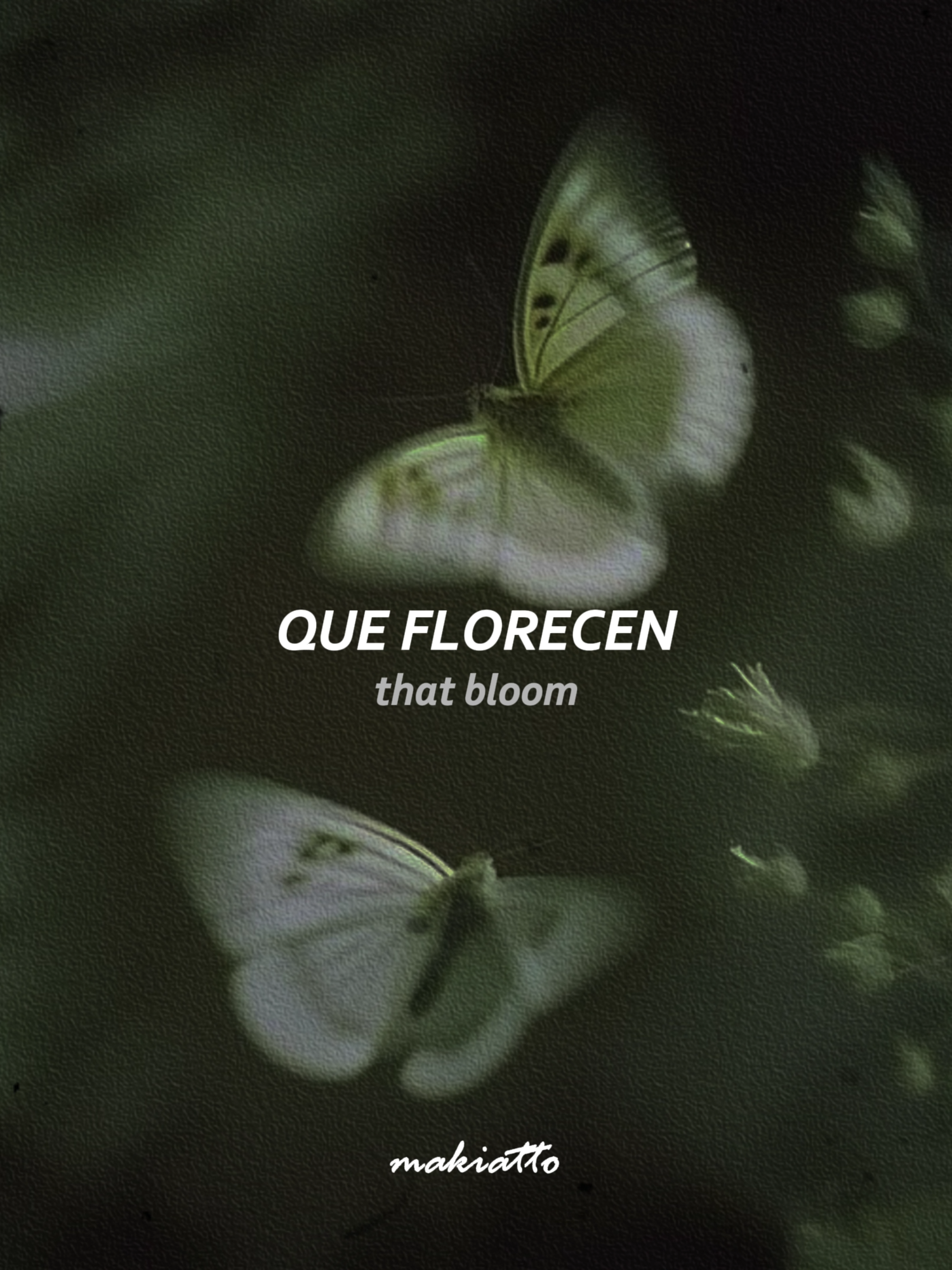 ABBA - Chiquitita (Spanish Version) #abba #chiquitita #letrasdecanciones #lyrics_songs #heart #alwaysloveyou #nostalgic #fypシ゚ #edit #edits #vibe #vibes #paratiiiii #paraty #letras #cottagecoreaesthetic #subespañol #nostalgia #amoraoproximo #loveyourself #chiquititaabba #paratiiiiiiiiiiiiiiiiiiiiiiiiiiiiiii #paratii #fyppppppppppppppppppppppp #fyp #amor #letras #letrasbonitas