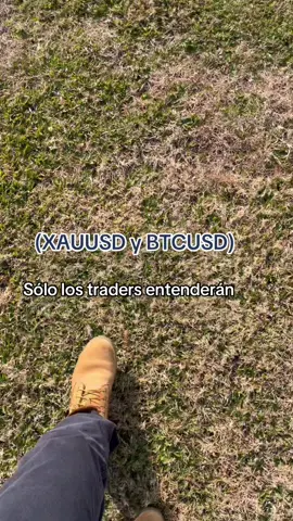 Te representa? Jaja #bitcoin #trading #xauusd 