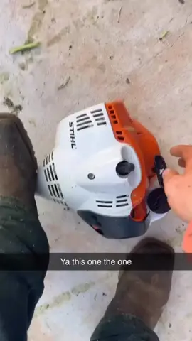 Buying this stihl was my best decision I ever made #stihl #fyp 