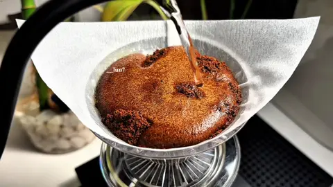 @محمصة ركن المحاصيل  كود الخصم(LJ15)