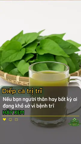 Trĩ ghé thăm? Diếp cá cứu cánh! áp dụng ngay nhé #Tritritainha #Diepca #suckhoedoisong #meosuckhoe #thucduong #meodangian #suckhoe #thaoduoc #xuhuong