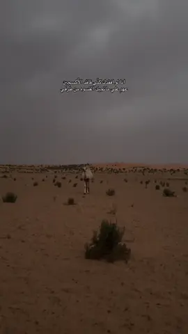 #اكسبلور #explore 