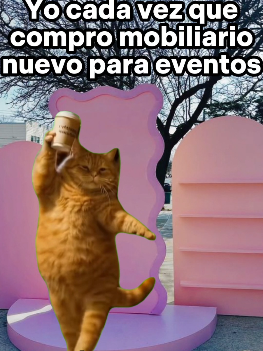 Yo cada vez que compro mobiliario nuevo para eventos #eventplannerlife #sinespacioperofeliz #Meme #fioresdecoland  #MemeCut #CapCut 