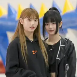 Kittyz CLIPS part 6 🐱🦦 #hanni #haerin #kittyz #NJZ 