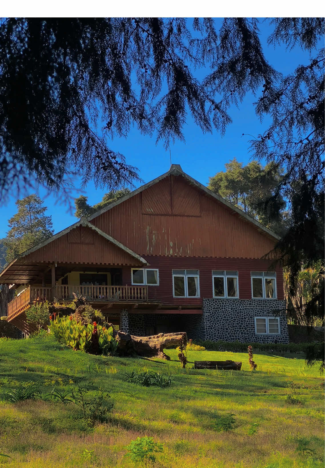 Ada Yang Pernah Ke Rumah Belanda di Jampit Bondowoso ?! #bondowoso #bondowosokeren #bondowosoku❤️ #fyp #fypシ゚ #foryoupage 