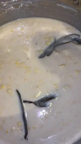 iykyk😩 #jamaicantiktok  #porridge 