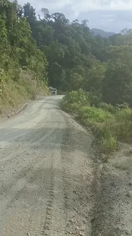 lampu tembak bukan kaleng-kaleng menyala bossku👍 #loggingtruck #trucking #truckinglife #truckdriver #mersedesbenz #lamputembak 