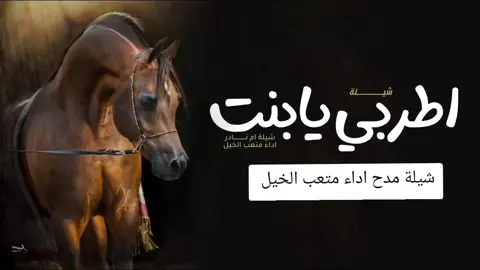شيلة اطربي يابنت شيخ اداء متعب الخيل 2025 #شيلات_مدح #متعب_الخيل #سيلة_عروس #ام_العروس #شيلة_زواج #شيلة_مدح #شيلات_مدح #ام_العروس #اكسبلور 