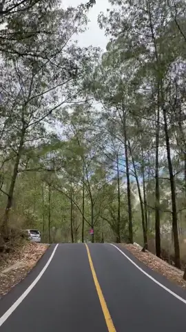 Kadang, keindahan bukan ada di tempat yang kita tuju... tapi di jalan yang kita lalui untuk sampai ke sana. Ada yang tau ini dijalan mana?  #bali #baliindonesia #kintamani #kintamanibali #fypp #4u 