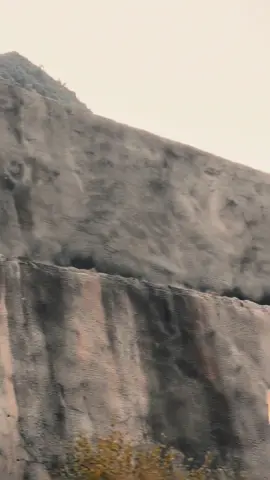 دا دے بازے نیم سلام دے سڑے نا آخلی 🙅🏻‍♂️☹️