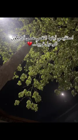 #مصر #ايفون14 #egypt #fyp #قران_كريم #quran #القنطره_غرب 