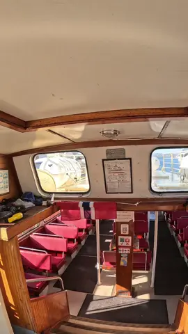 #norgvarg #tiktoksea 