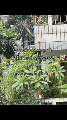 ဘာပဲပြောပြောဗျာ တစ်ယောက်ထဲနေရတာက ပိုပြီးသာယာတယ်🙂‍↕️💕 #foryou #fyp 🤪💐