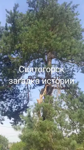 Посетите сайт о Святогорске в шапке, загрузите свои фото о нашем городе, рекламы и регистрации нет #святогорск #донецкаяшвейцария #донецкаяобласть #нетвойне 
