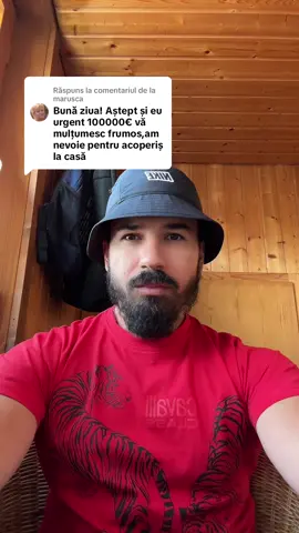 Ca răspuns pentru @marusca #analizesipareri #săfudepetiktok #datenspanac #fyp #fyy #foryour 