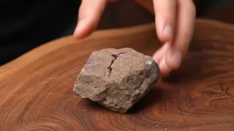 #asmr #satisfying #oddlysatisfying #creatorsearchinsights #ai #aiasmr 