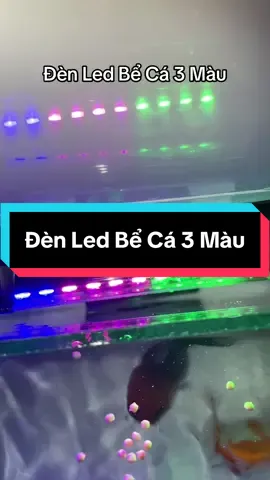 Đèn led bể cá 3 màu .🍀#denledbeca #ngoctramshop #viralvideo #xuhuongtiktok 