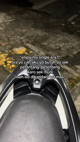 Tapi ngko sek
