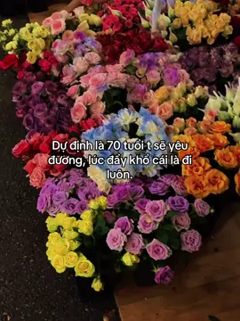#dhngent 