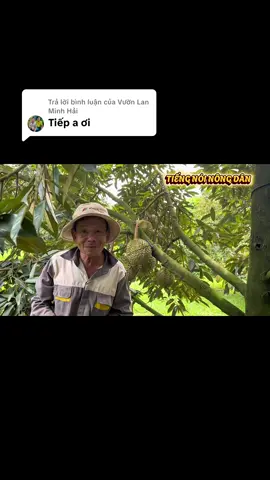 Trả lời @Vườn Lan Minh Hải tiếp đây b ơi. Chờ xem full video trên du tu be “TIẾNG NÓI NÔNG DÂN” nha #saurieng #saurienggialai #nongdantaynguyen #tiengnoinongdan 