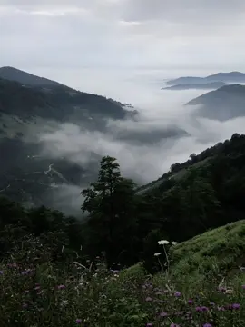 #CapCut #galaubrutal #4u #foryoupage 