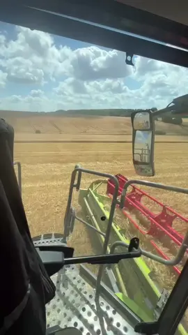 #ernte2025 #claaslexion8800tt #gerste #landwirtschaft #fyp #viral #landwirtschaftausleidenschaft #thüringen #agriculture #farming #farmlife #tarmtok #eichsfeld #landwirtschaftverbindet #foryou #landwirtschaftistbeste #sommer #agricultura #agrartechnik #claasdeutschland #claasfahrerarmy #landwirt4live #agrarwirtschaft #claaspower #claaslexion #claasvario1230 #eichsfeldliebe #landwirtschaftinthüringen 