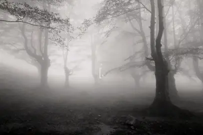 Mr. Kitty - Mother mary  (п.с. ошибся в слове, там не heart а arms)  #trend #fypシ #rec #capcut #щп #щитпост #shitpost #song #sad #песня #mothermary #mrkitty 